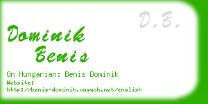 dominik benis business card